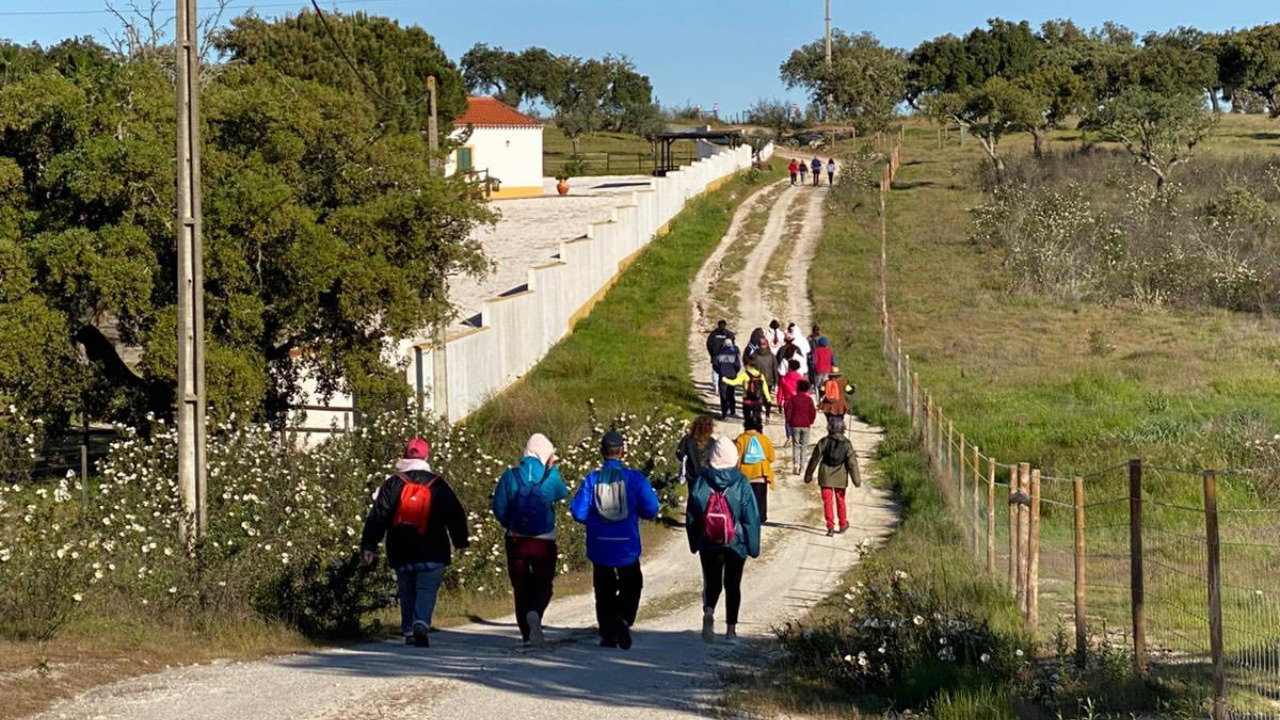 Caminhada Solidária promoveu a doação de bens alimentares